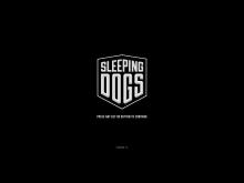Sleeping Dogs screenshot #1